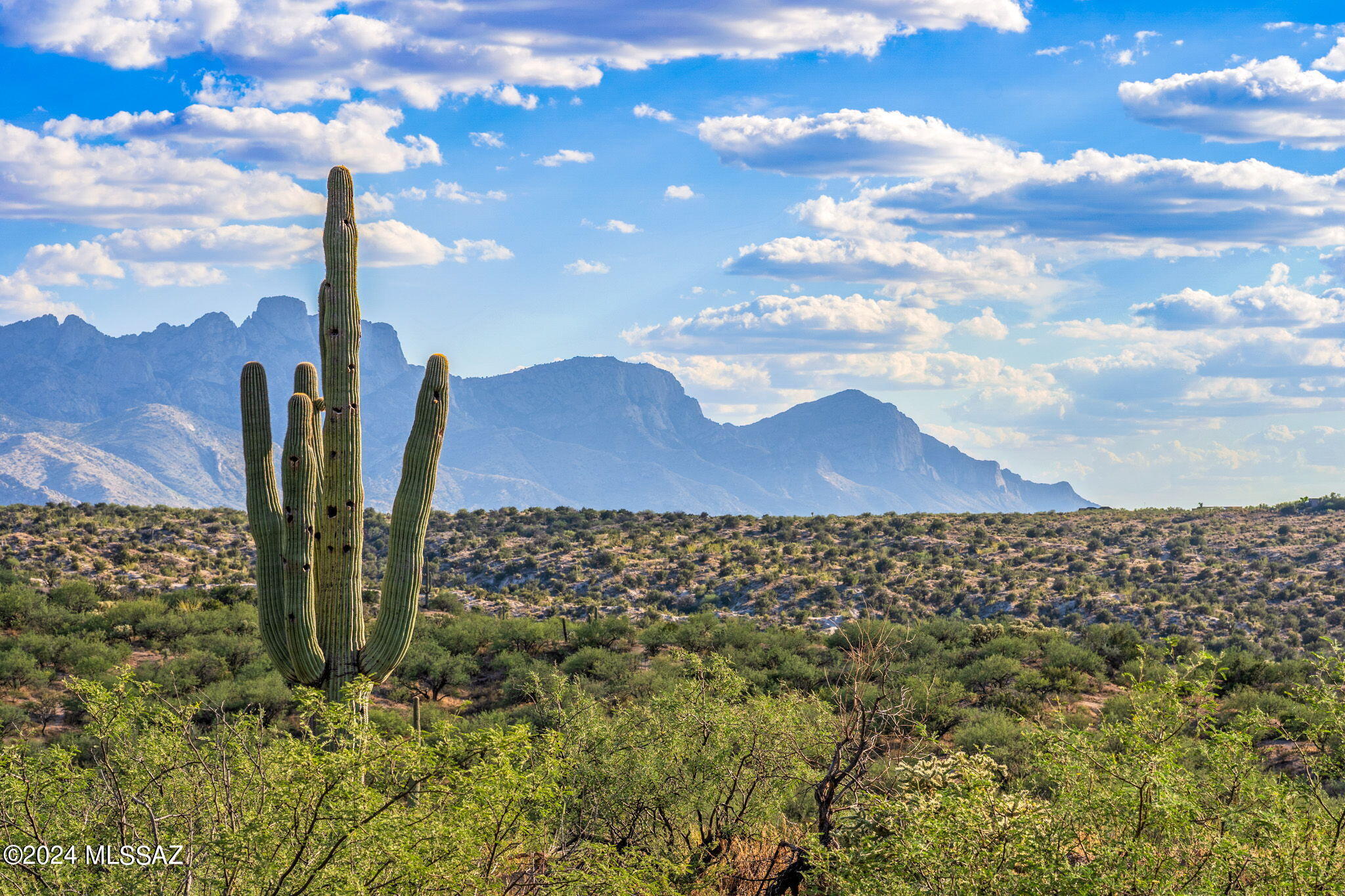 16500 North Ridge Rock Trail Tucson, AZ 85739 - Photo 10 of 29 4-web-or-mls-16500 N Ridge Rock Trail -