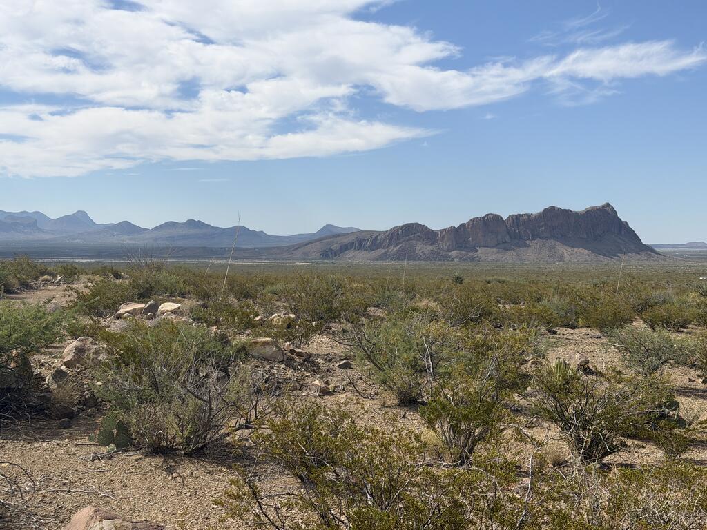 420 Trailer Road Alpine, TX 79830 - Photo 8 of 18 Gallery Image 8