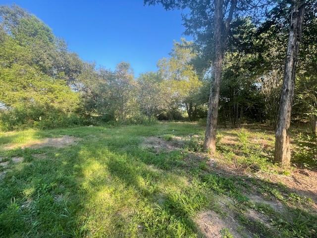 1631 Lcr 760 Groesbeck, TX 76642 - Photo 14 of 15 a view of a yard with a tree