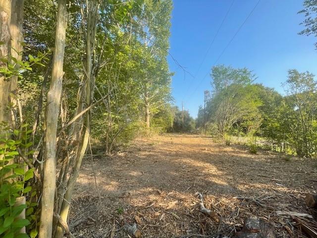 1631 Lcr 760 Groesbeck, TX 76642 - Photo 15 of 15 a view of a yard with plants and trees