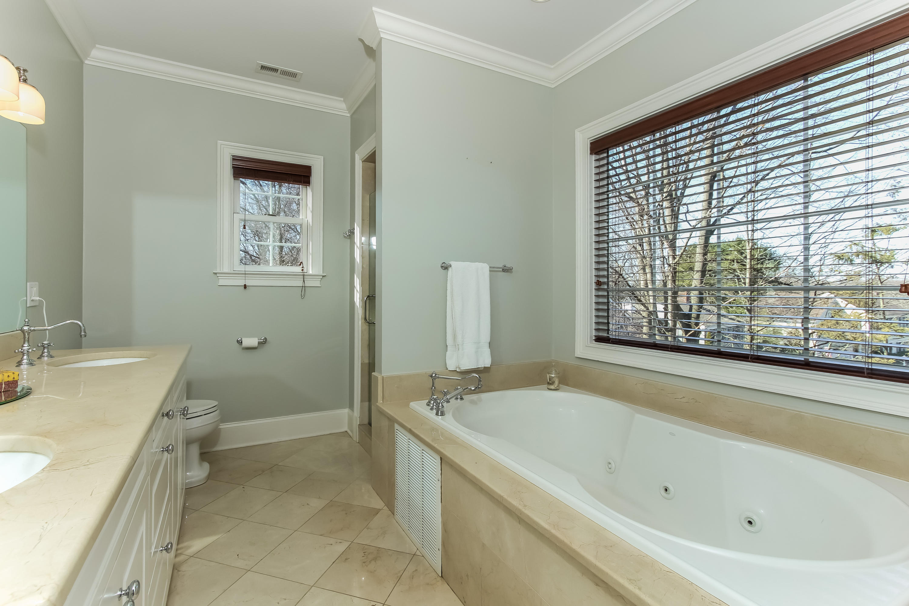 221 Hollow Tree Ridge Road Darien, CT 06820 - Photo 15 of 28 a bathroom with a bathtub and a sink