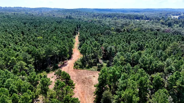 a view of a lush green forest with a house in a yard
