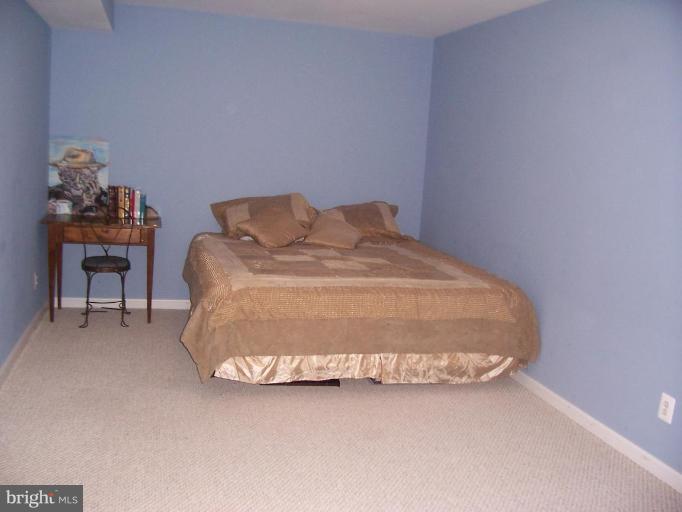8128 Bailey Road Warrenton, VA 20186 - Photo 17 of 22 Lower Level Bonus Room to use as you wish