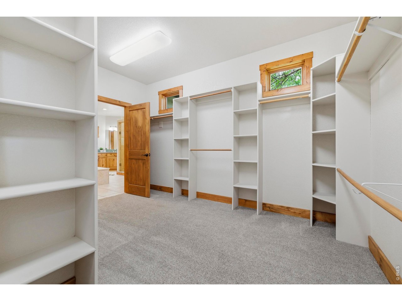 6421 Rookery Road Fort Collins, CO 80528 - Photo 20 of 50 Oversized Walk-In Closet