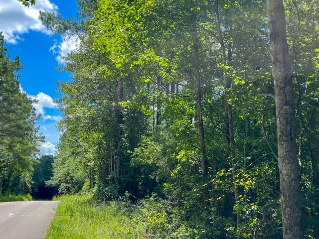 $57,750 | 2 Cr 4470 Ivanhoe Tx 75979, Warren, TX 77664