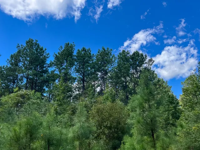 $57,750 | 2 Cr 4470 Ivanhoe Tx 75979, Warren, TX 77664