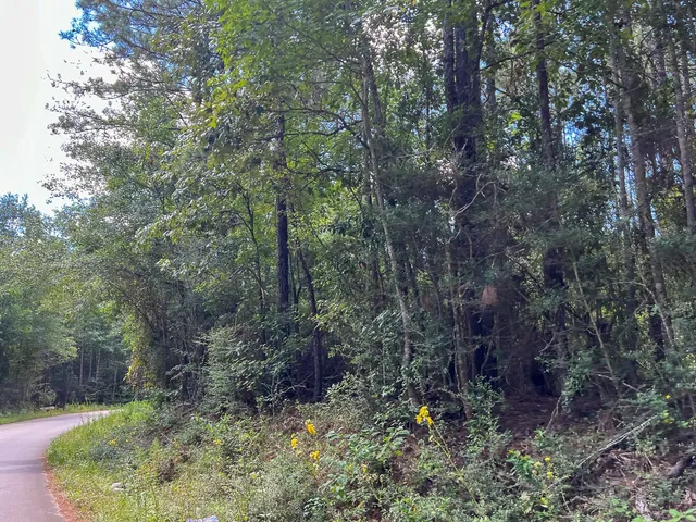 $57,750 | 2 Cr 4470 Ivanhoe Tx 75979, Warren, TX 77664