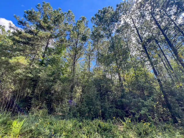 $57,750 | 2 Cr 4470 Ivanhoe Tx 75979, Warren, TX 77664