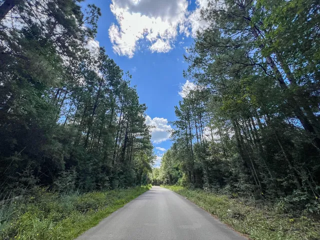 $57,750 | 2 Cr 4470 Ivanhoe Tx 75979, Warren, TX 77664