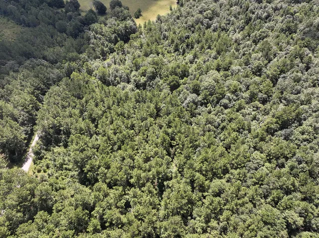 $57,750 | 2 Cr 4470 Ivanhoe Tx 75979, Warren, TX 77664