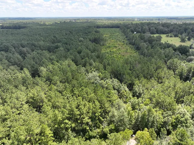 $57,750 | 2 Cr 4470 Ivanhoe Tx 75979, Warren, TX 77664