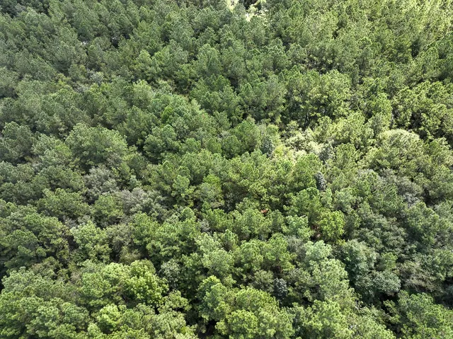 $57,750 | 2 Cr 4470 Ivanhoe Tx 75979, Warren, TX 77664