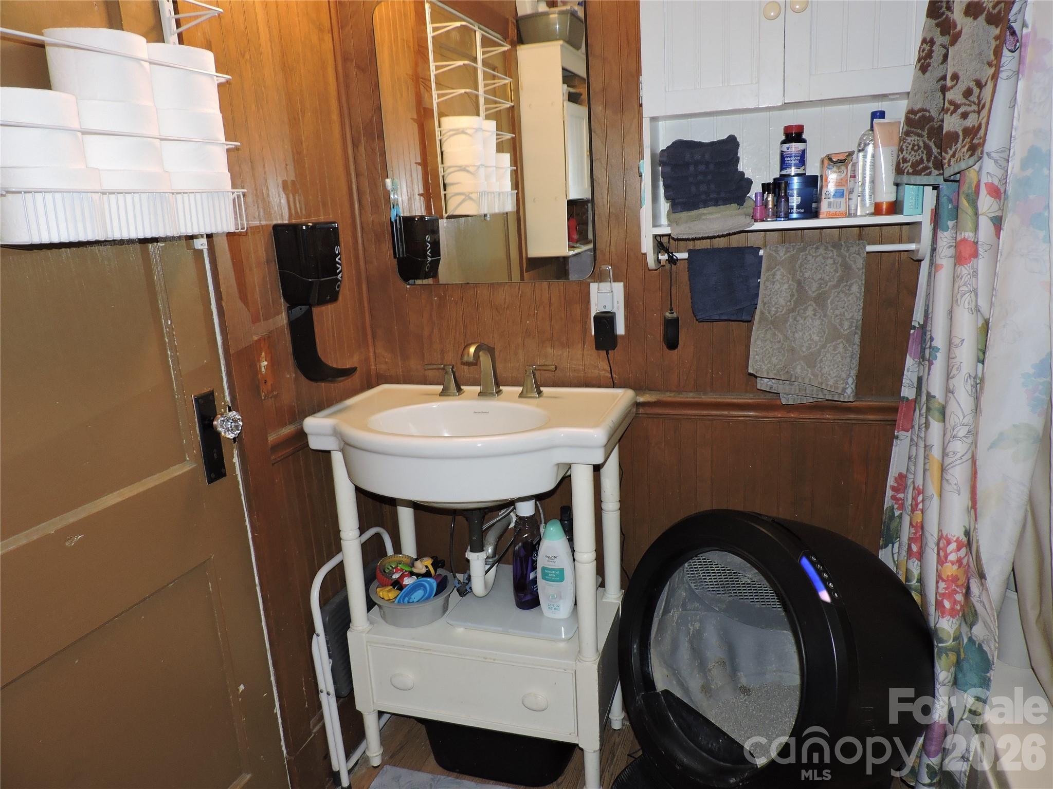 4 Carter Road Weaverville, NC 28787 - Photo 31 of 44 a bathroom with a sink and a mirror