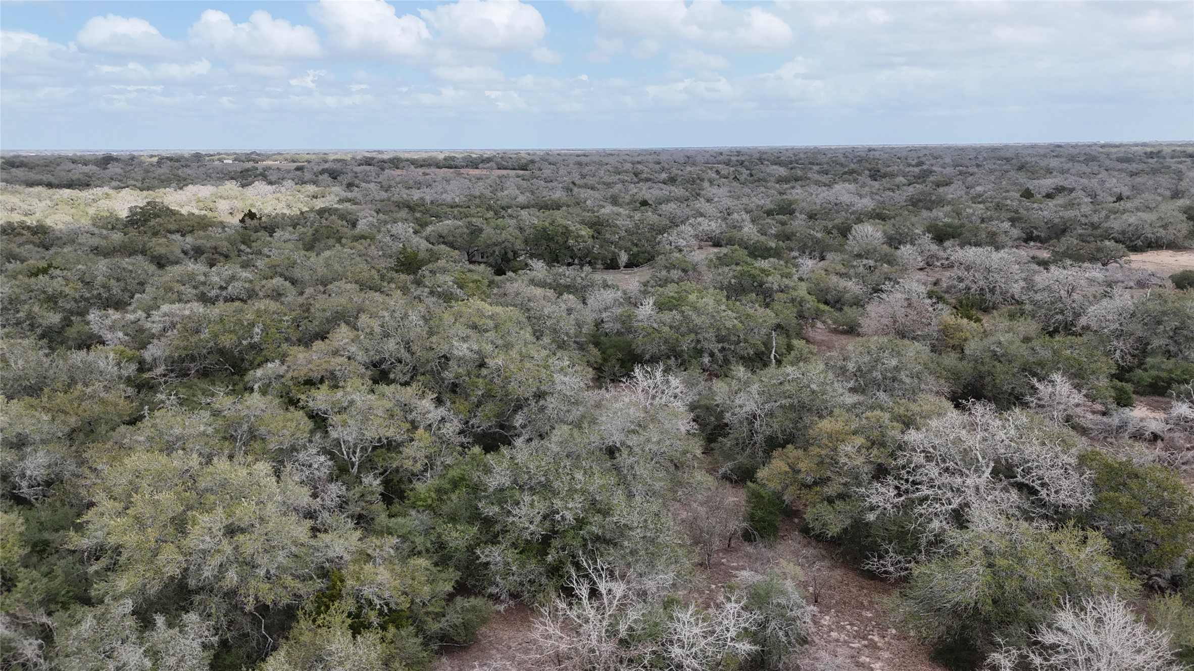 19.88-acres Friar Road Cuero, TX 77954 - Photo 11 of 19 an aerial view of trees and covered with fog