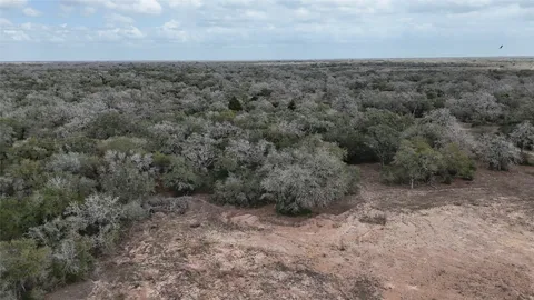 a view of a dry yard with lots of trees