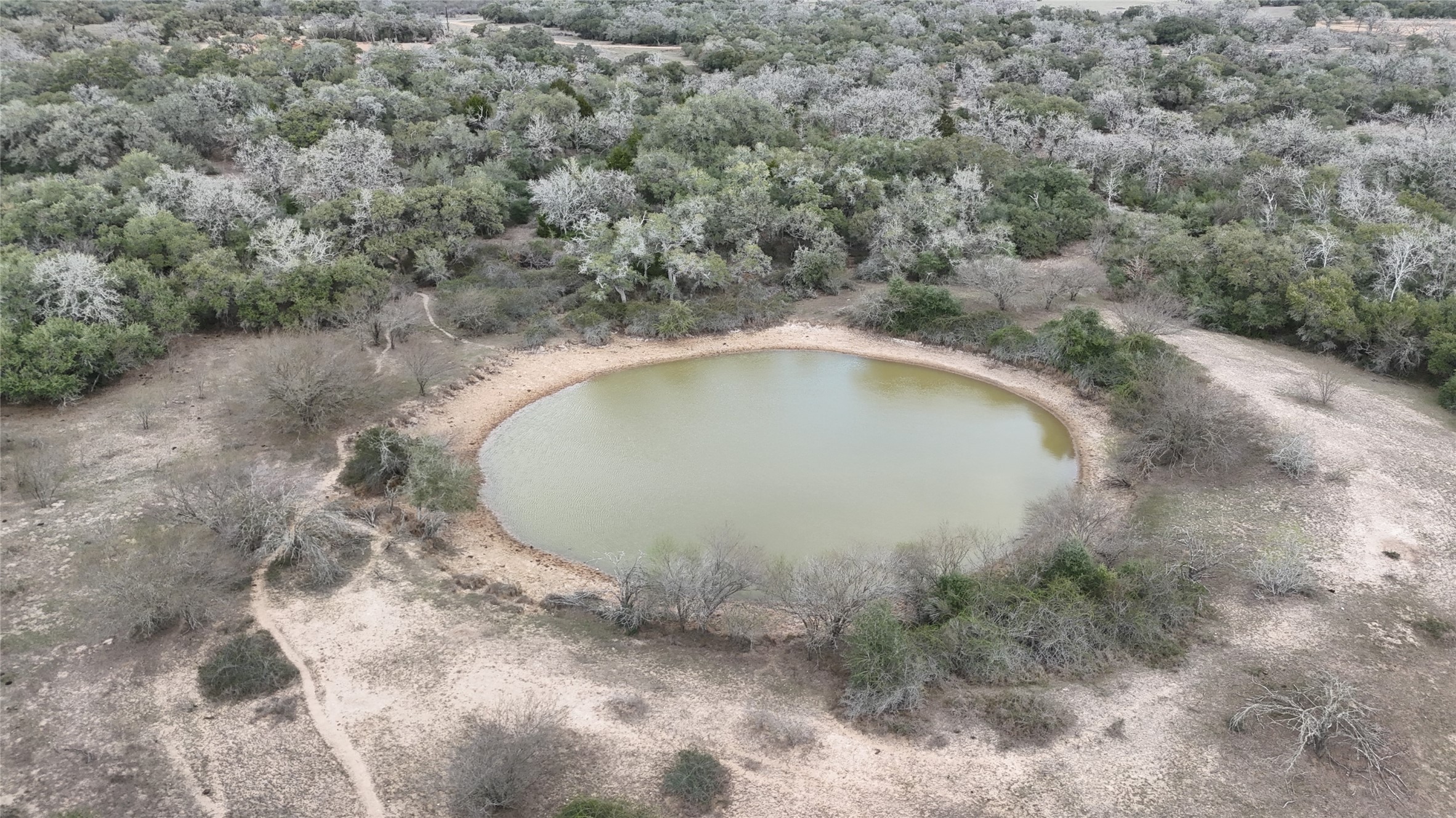 19.88-acres Friar Road Cuero, TX 77954 - Photo 16 of 19 a view of a dry forest with trees