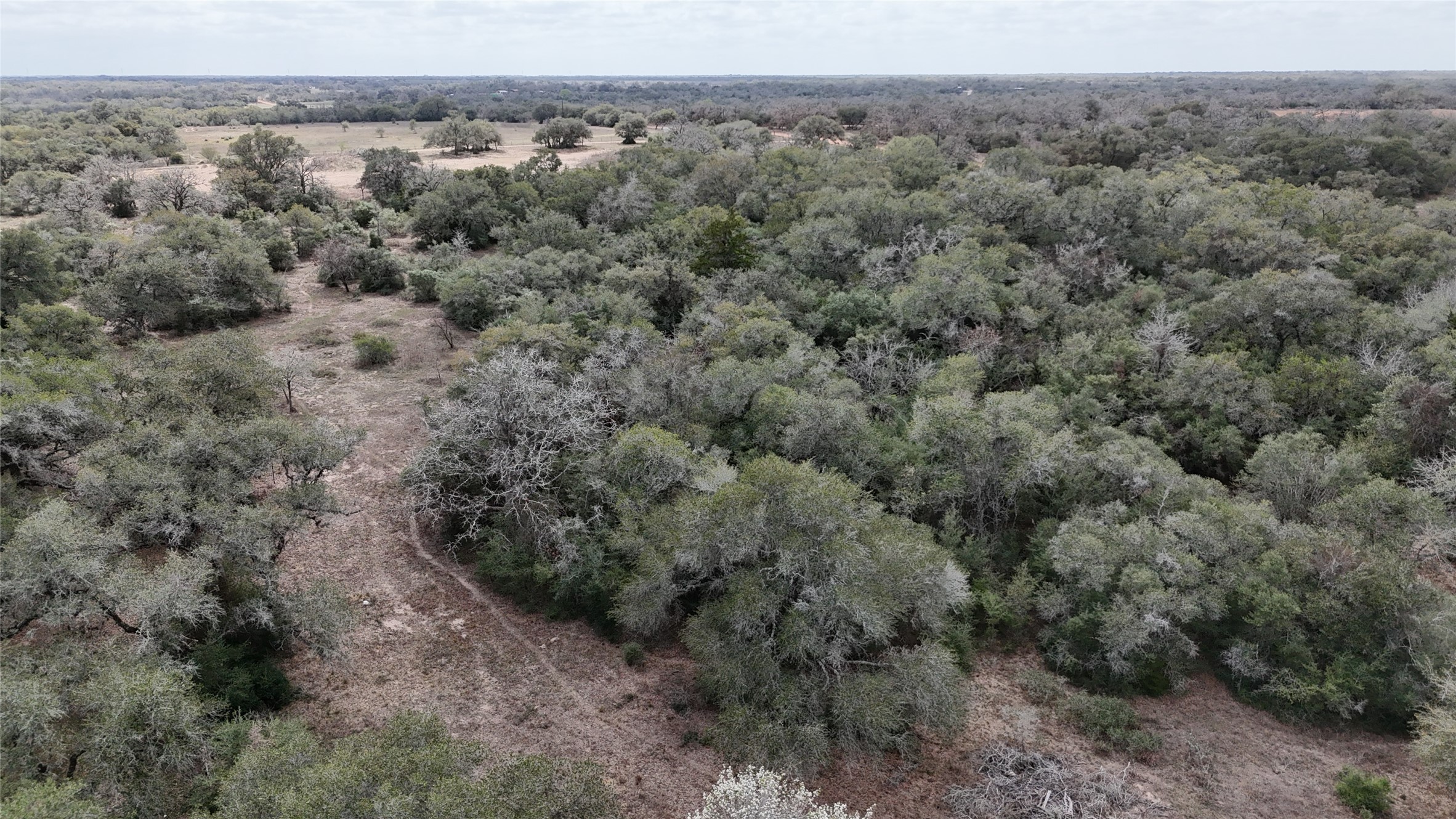 19.88-acres Friar Road Cuero, TX 77954 - Photo 18 of 19 a view of a dry yard