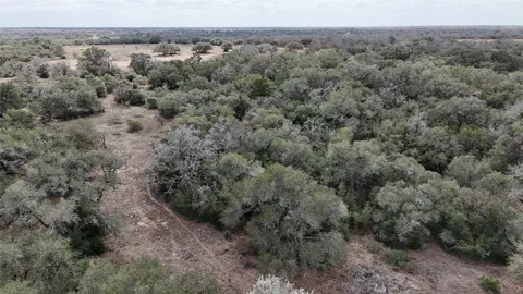 a view of a dry yard with trees