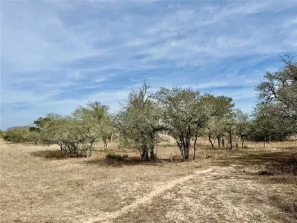 a view of a large yard with lots of trees
