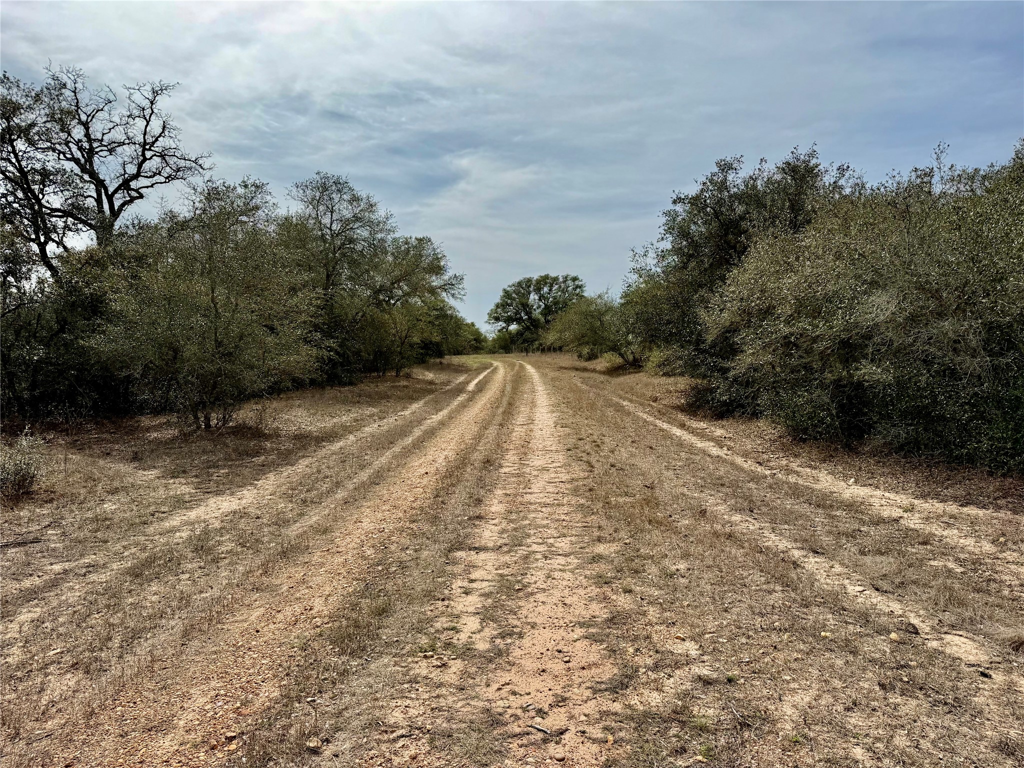 19.88-acres Friar Road Cuero, TX 77954 - Photo 6 of 19 a view of an outdoor space with deck