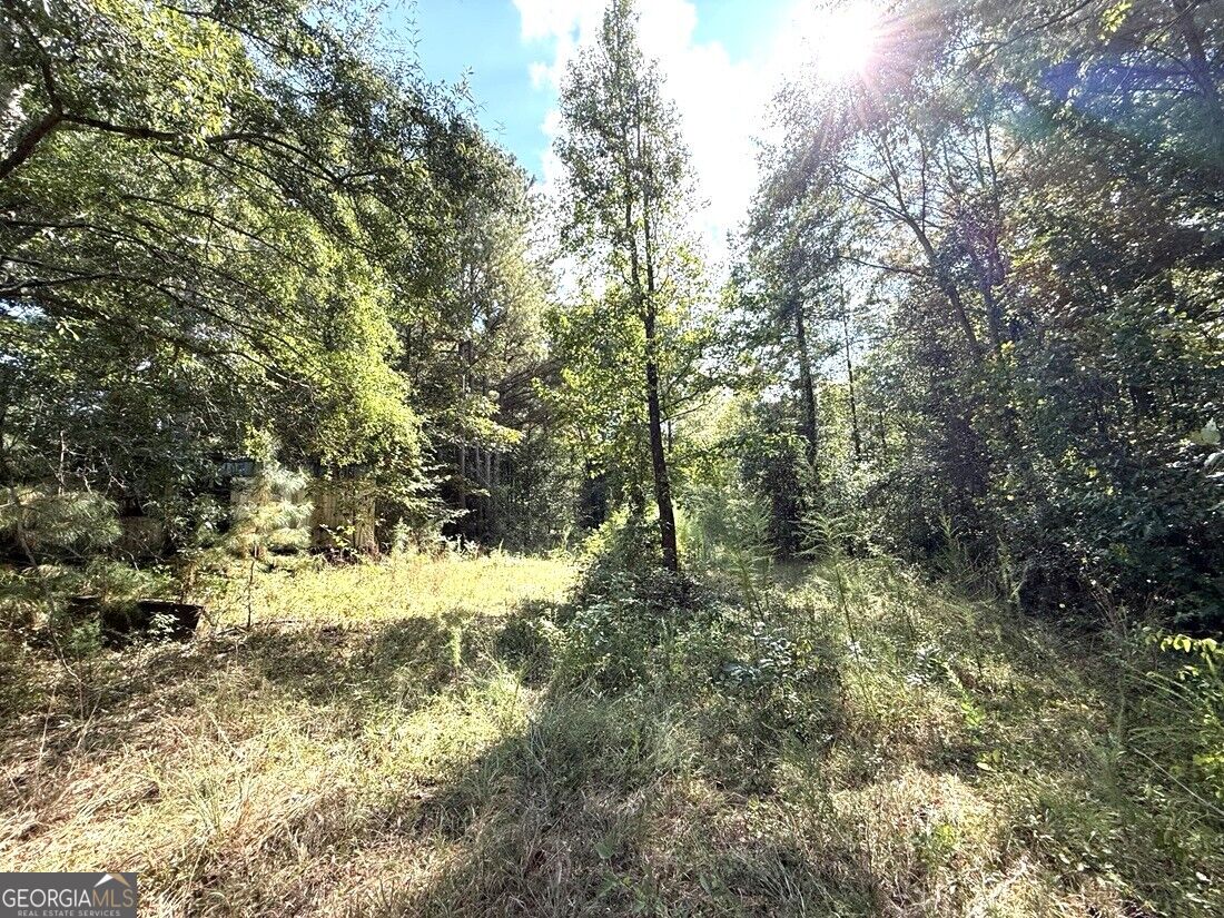 2594 Hughes Road Bowman, GA 30624 - Photo 25 of 26 Gallery Image 25