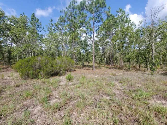 a view of outdoor space and trees