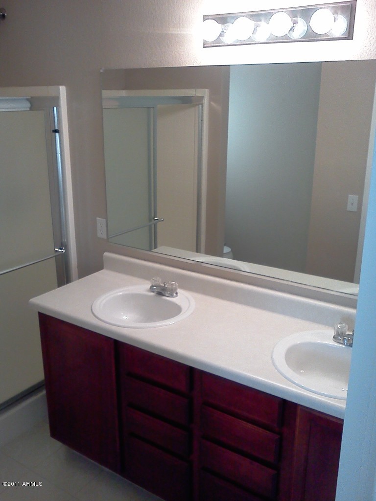 2413 West Romley Road Phoenix, AZ 85041 - Photo 8 of 16 Master Bath