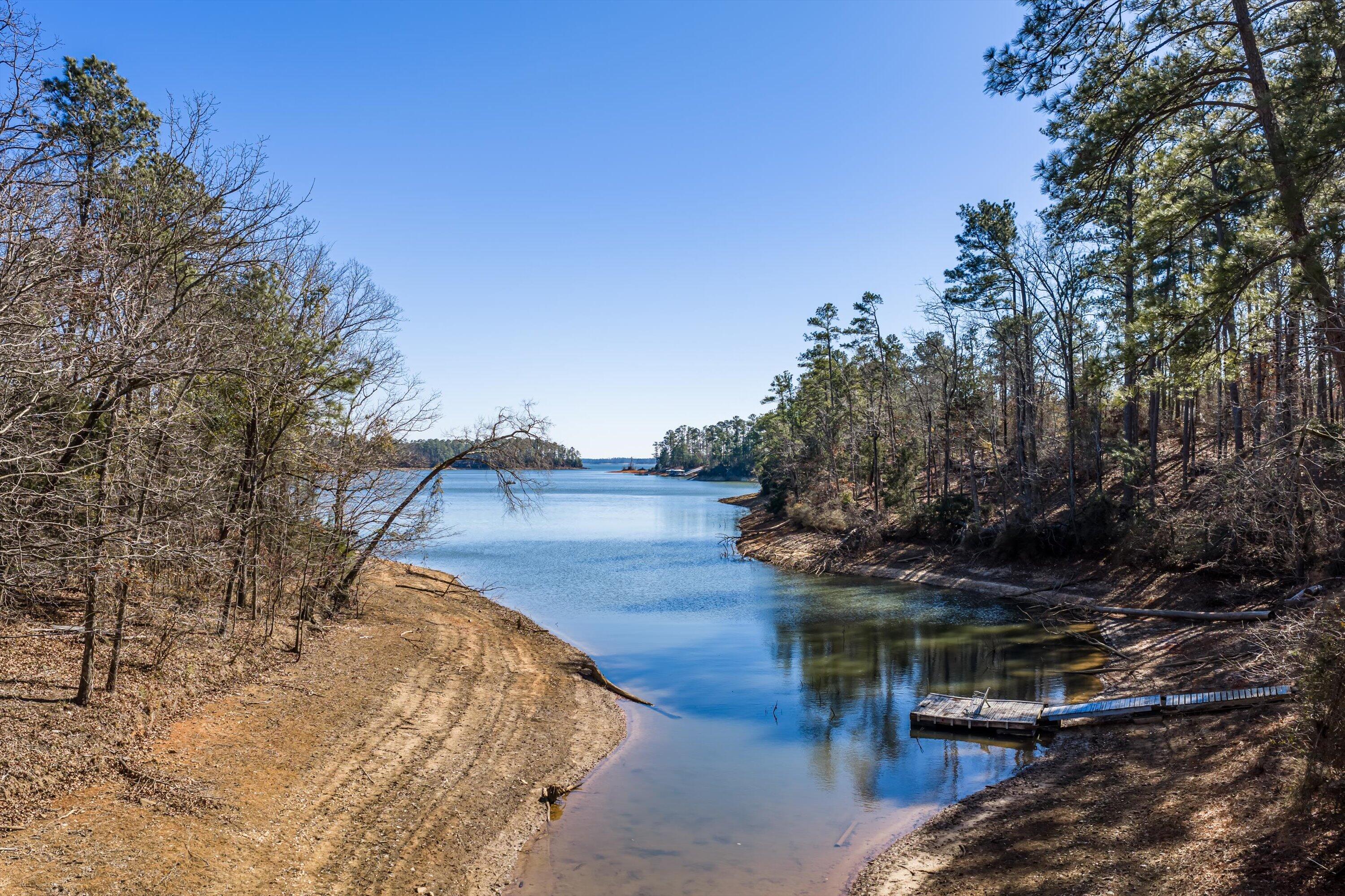 137 Memorial Drive McCormick, SC 29835 - Photo 67 of 78 089-DJI_20260127130737_0072_D-HDR