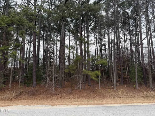 a view of outdoor space with trees