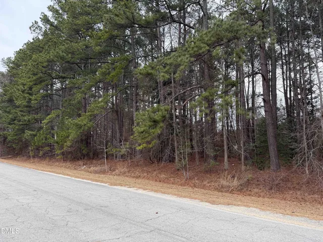 a view of a forest filled with trees