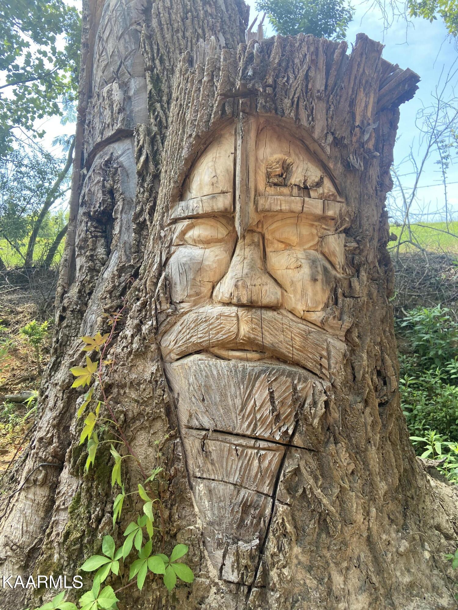 970 Douglas Dam Road, Unit 4 Kodak, TN 37764 - Photo 22 of 27 Tree Troll