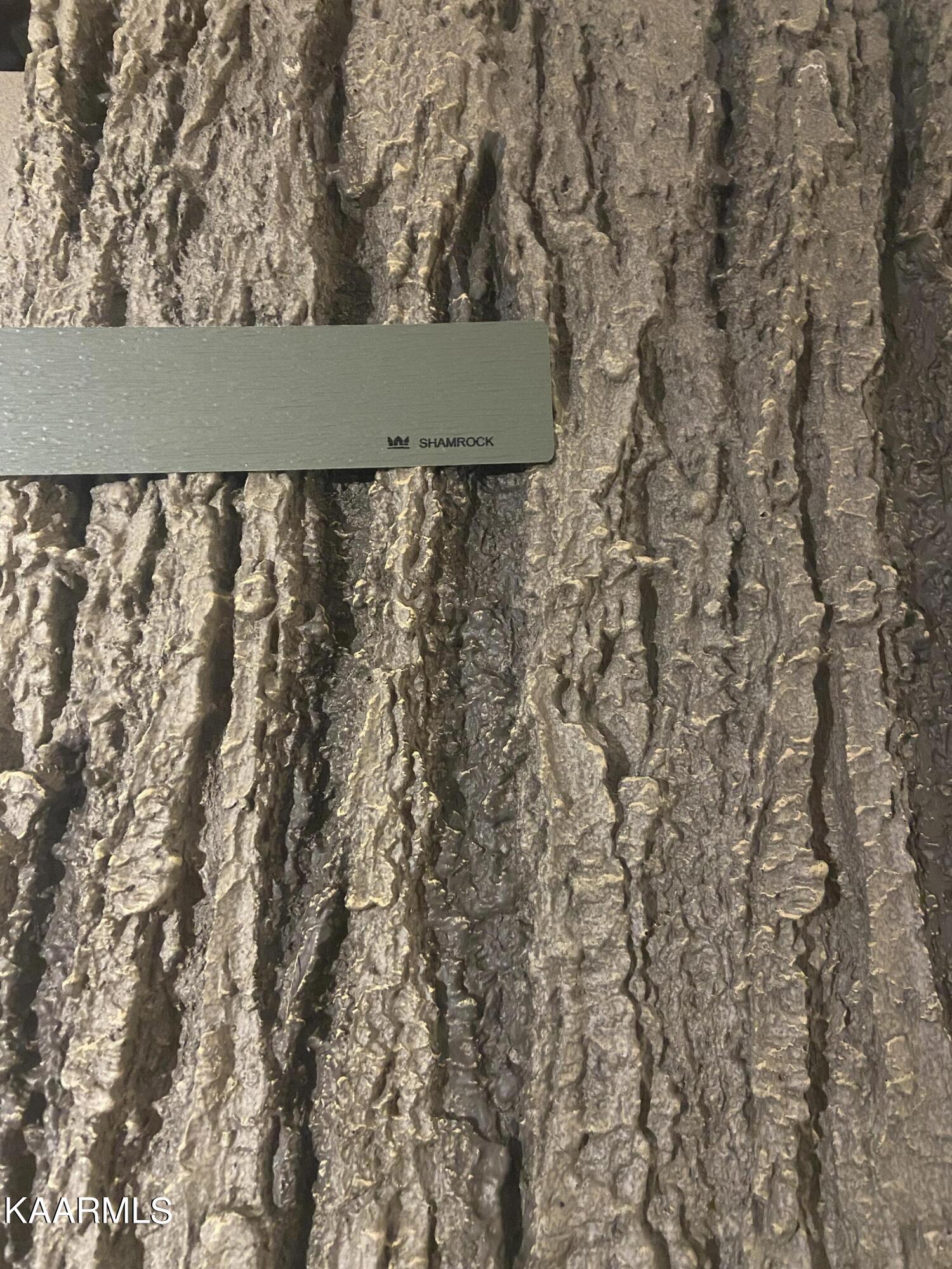 970 Douglas Dam Road, Unit 4 Kodak, TN 37764 - Photo 8 of 27 Bark and Vinyl Siding