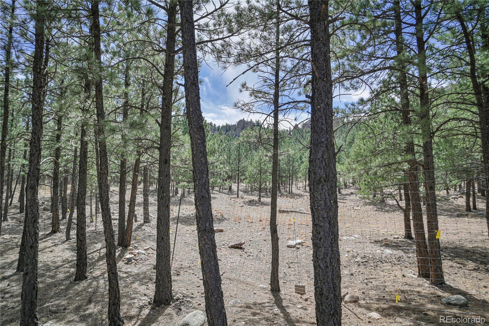 Stonewall Meadows Road Weston, CO 81091 - Photo 12 of 41 Gallery Image 12