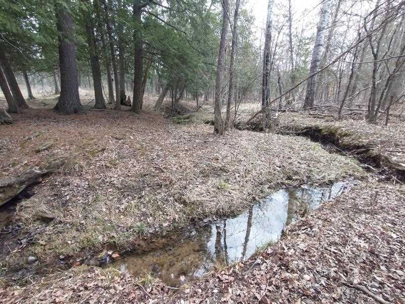50-acres Sugar River Road Gladwin, MI 48624 - Photo 7 of 29