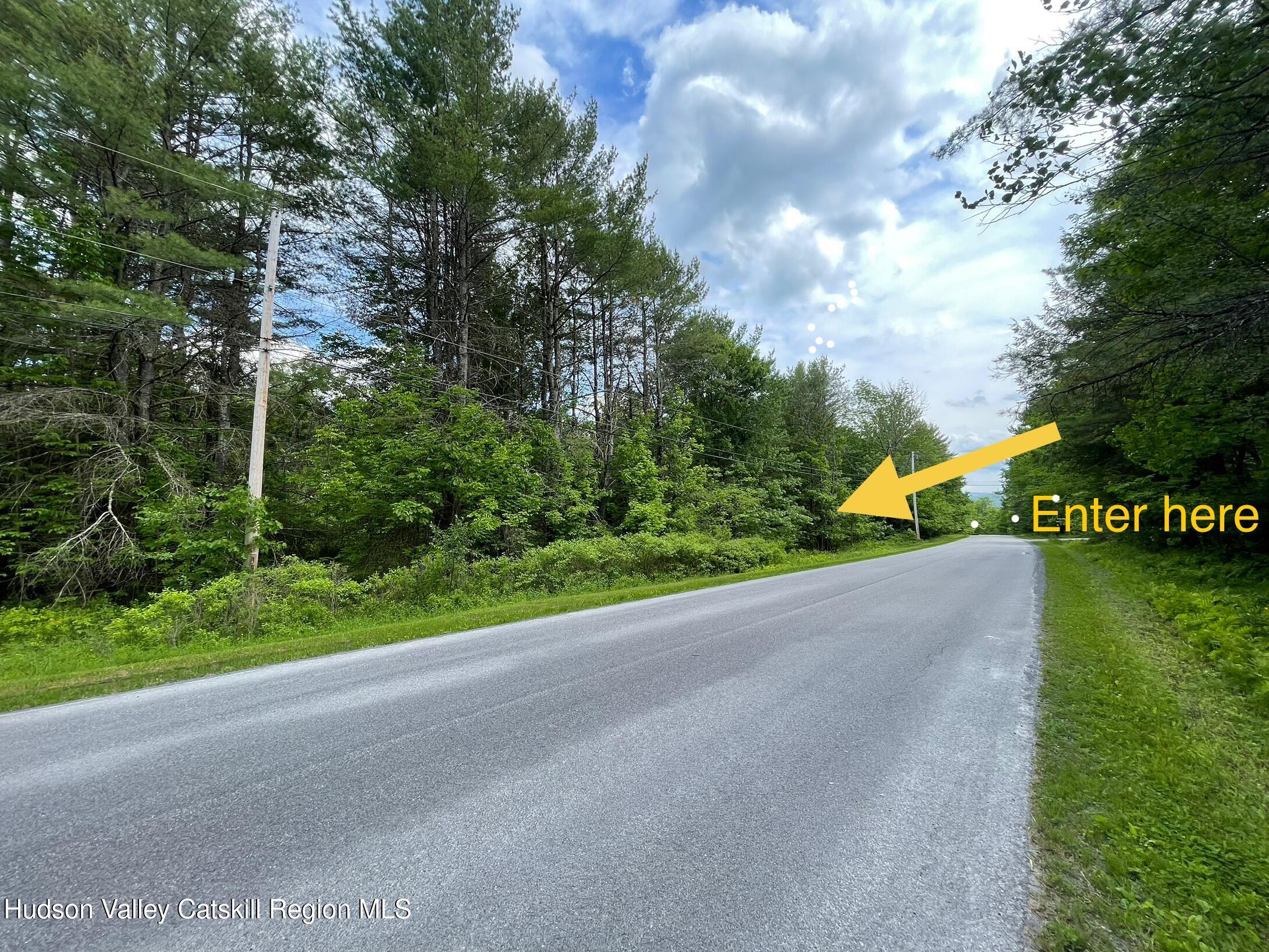 0 Campbell Road Windham, NY 12496 - Photo 2 of 7 IMG_0538