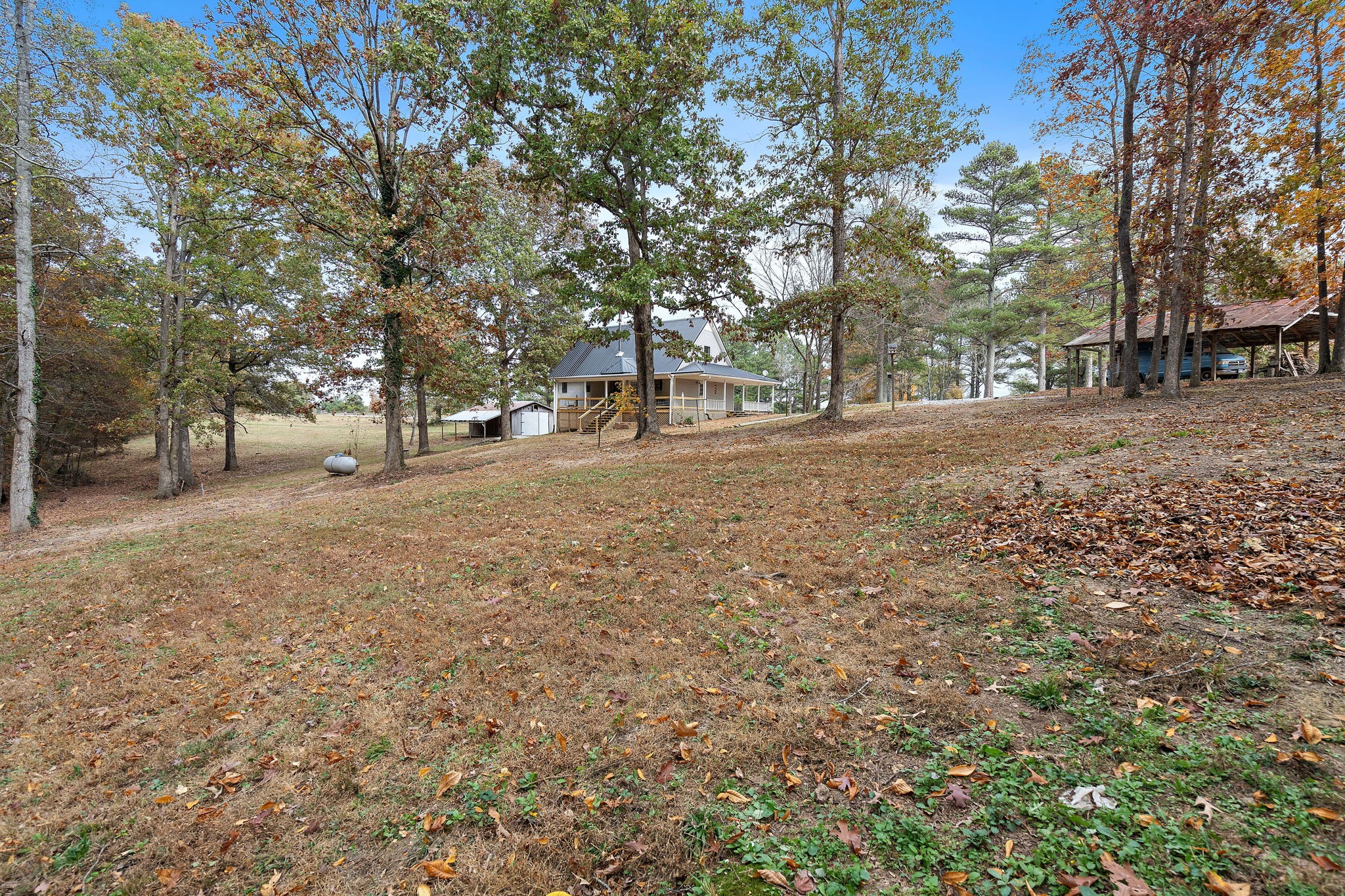 131 Locker Road Summertown, TN 38483 - Photo 26 of 38 a view of a yard with trees