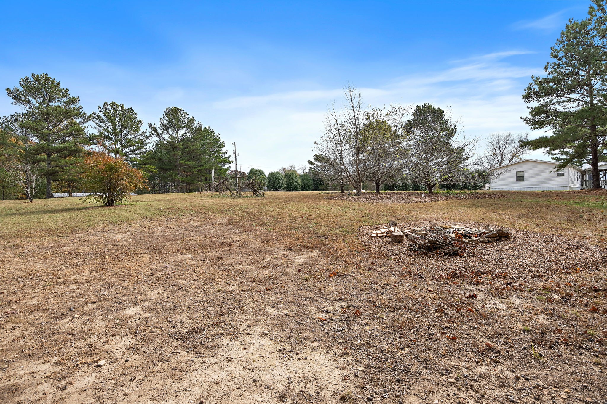131 Locker Road Summertown, TN 38483 - Photo 27 of 38 a view of a field with trees in background