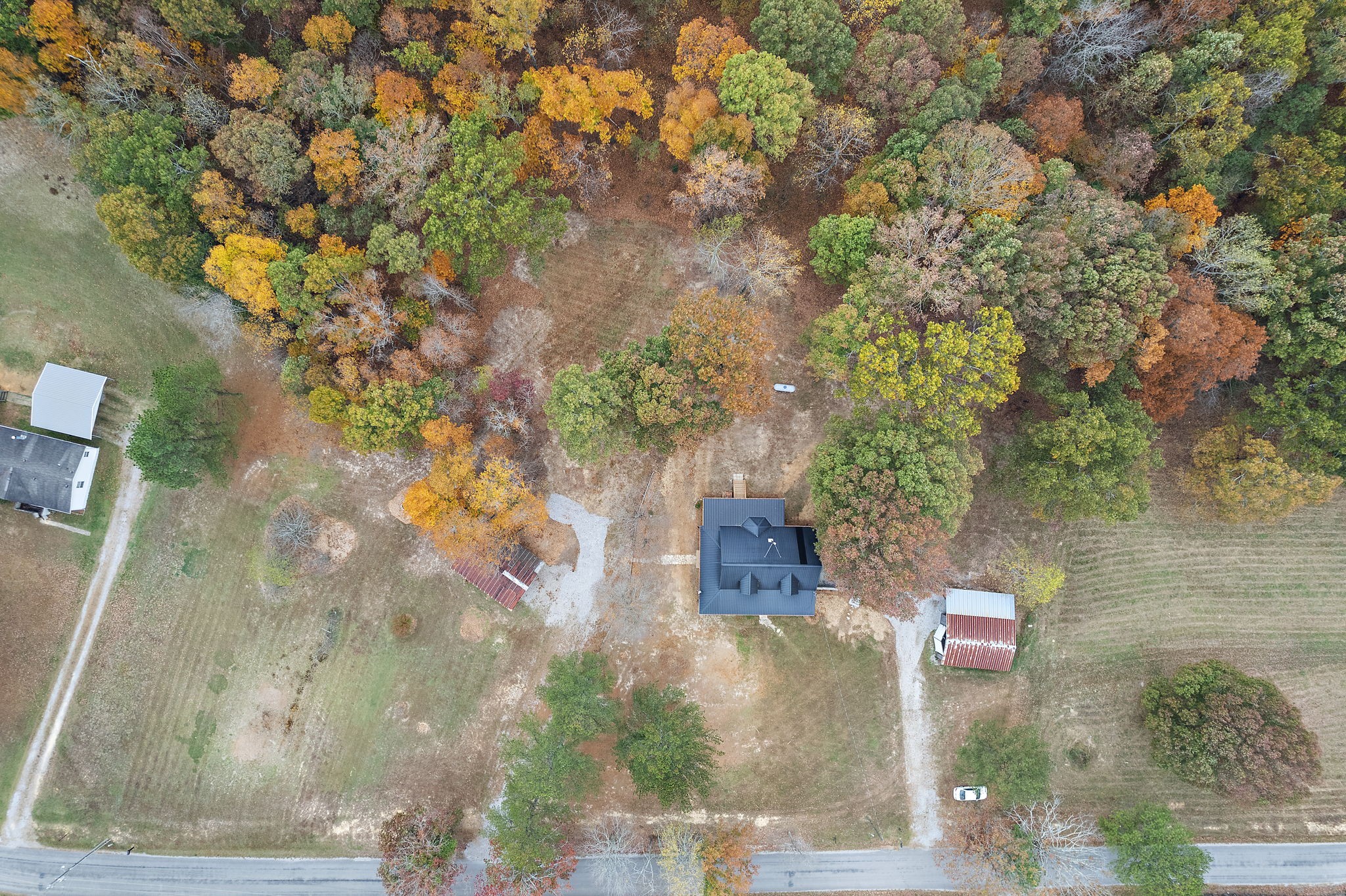 131 Locker Road Summertown, TN 38483 - Photo 36 of 38 a picture of tree