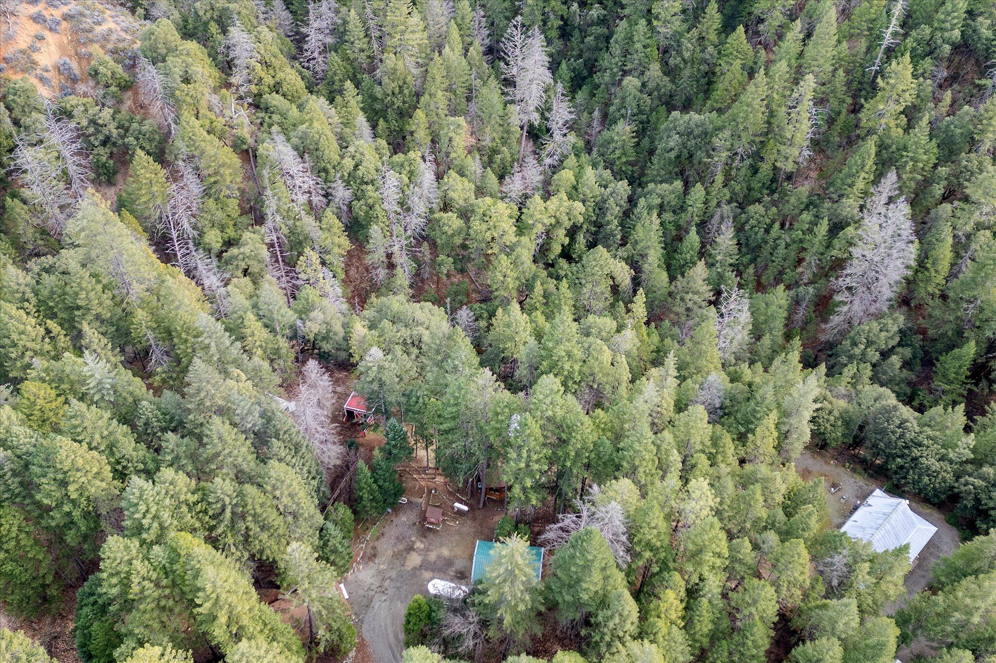 200 Button Road Weaverville, CA 96093 - Photo 47 of 54 50-BiggerFlow Real Estate Media-50