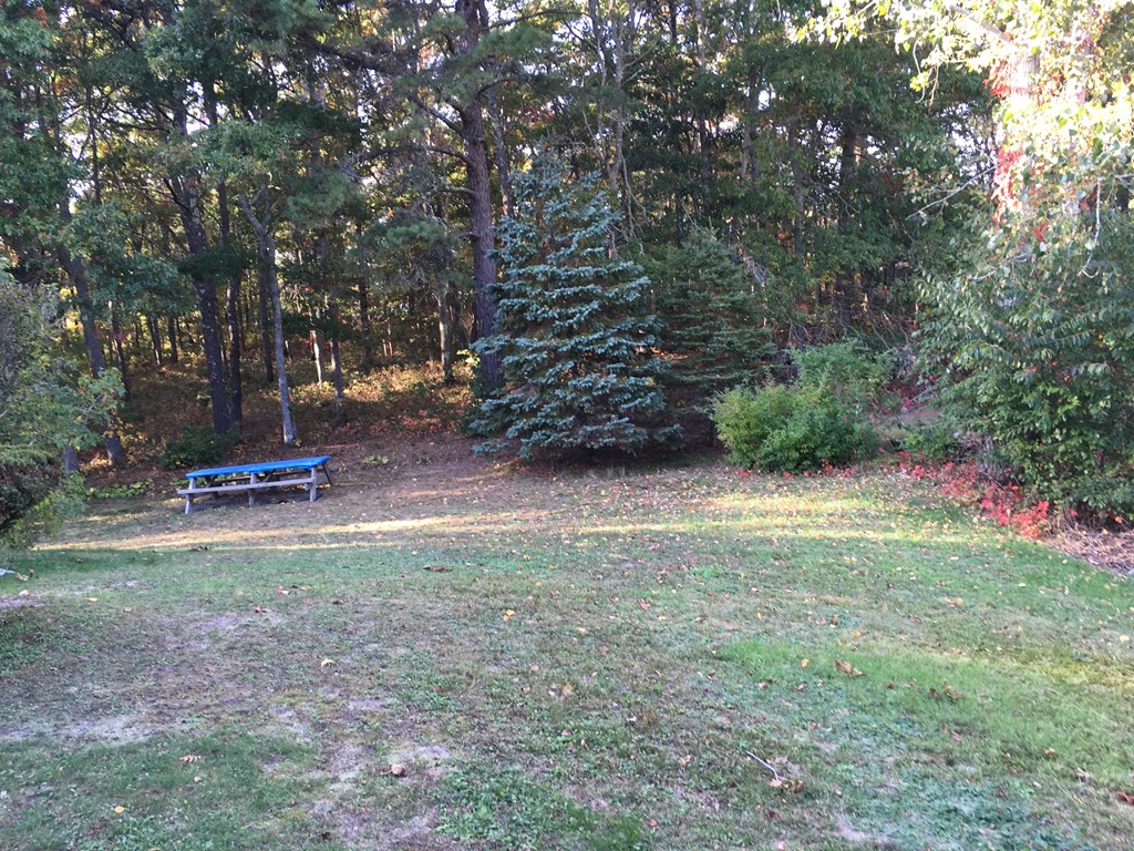 69 Stub Toe Road Barnstable, MA 02635 - Photo 20 of 27 a view of a tree in a yard
