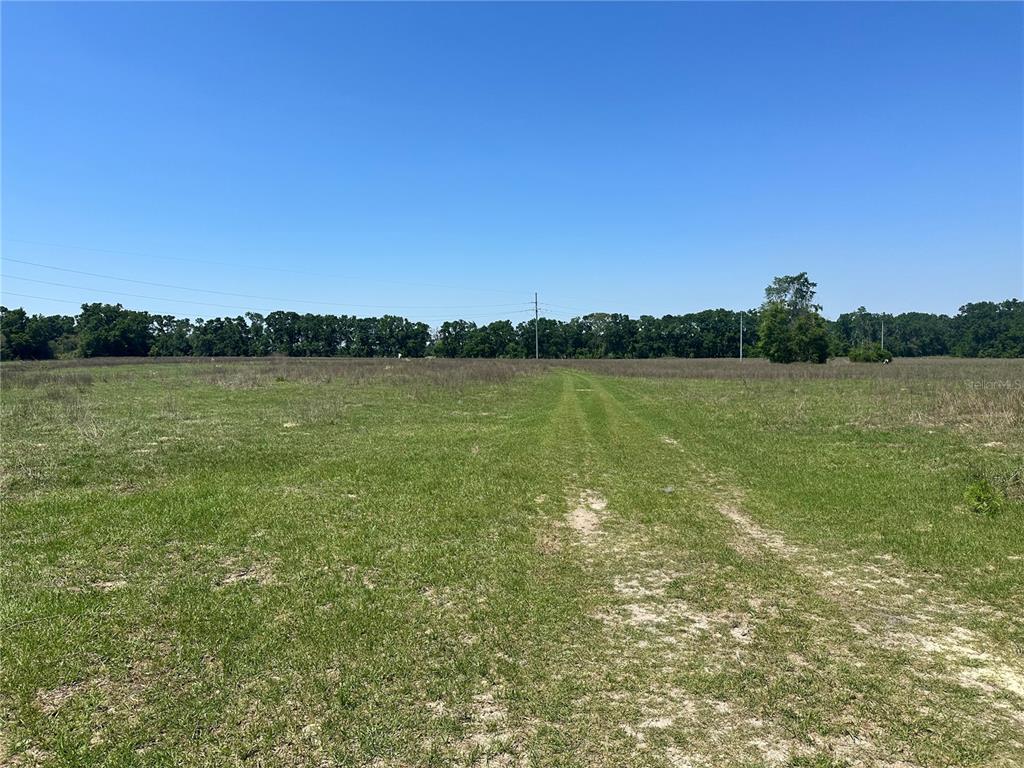872 Southwest Fry Avenue, Unit C Fort White, FL 32038 - Photo 11 of 14 a view of a lake with a city