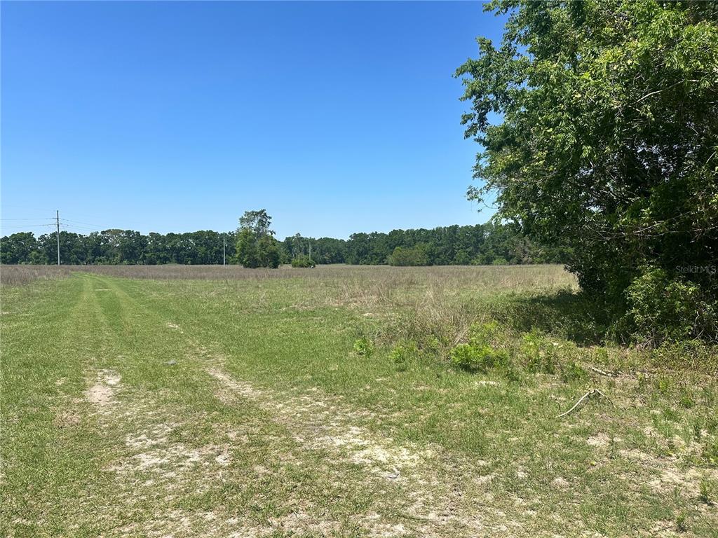 872 Southwest Fry Avenue, Unit C Fort White, FL 32038 - Photo 12 of 14 a view of a lake with houses in the background