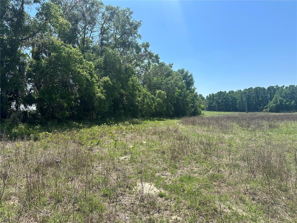 872 Southwest Fry Avenue, Unit C Fort White, FL 32038 - Photo 13 of 14