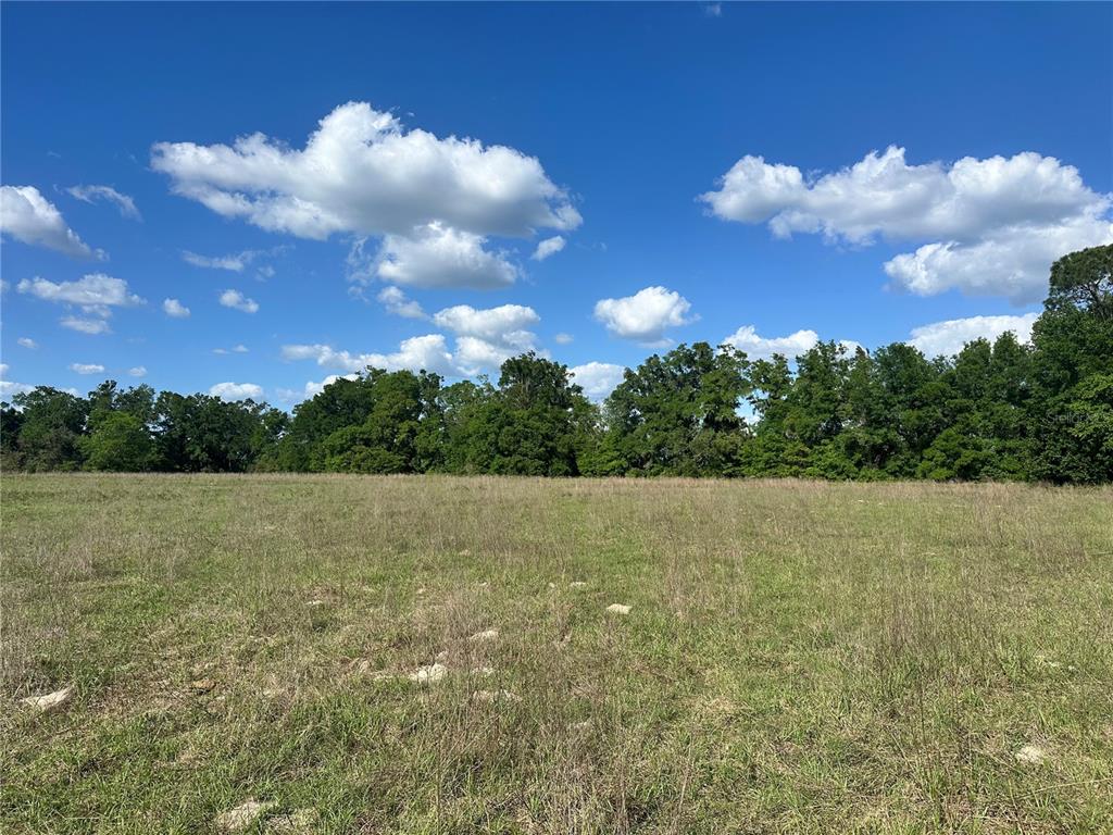 872 Southwest Fry Avenue, Unit C Fort White, FL 32038 - Photo 5 of 14 a view of outdoor space and yard