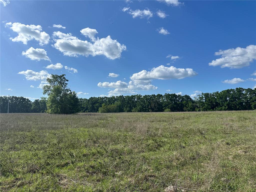 872 Southwest Fry Avenue, Unit C Fort White, FL 32038 - Photo 6 of 14 a view of an outdoor space and yard