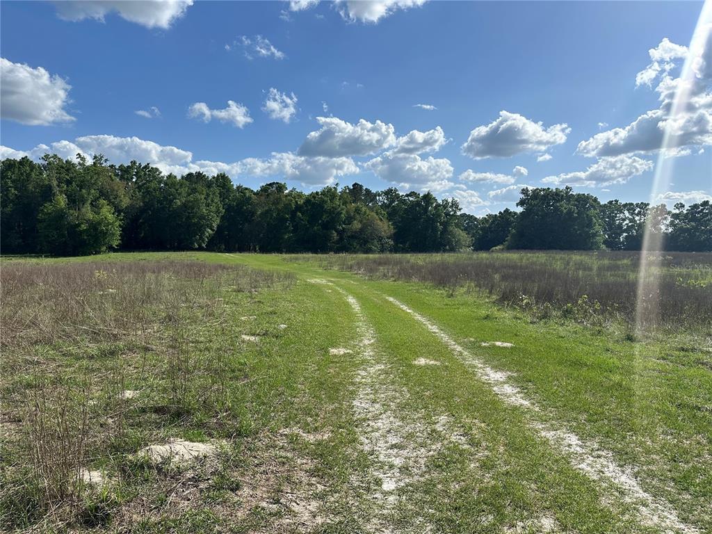 872 Southwest Fry Avenue, Unit C Fort White, FL 32038 - Photo 7 of 14 a view of a lake