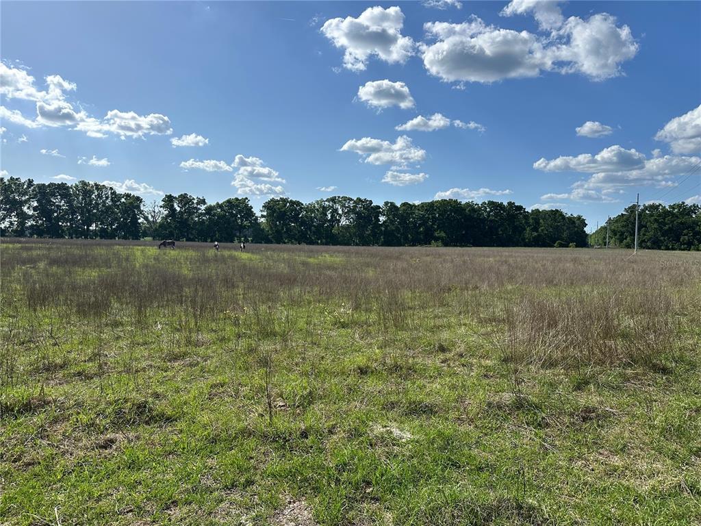 872 Southwest Fry Avenue, Unit C Fort White, FL 32038 - Photo 8 of 14 a view of lake with green space