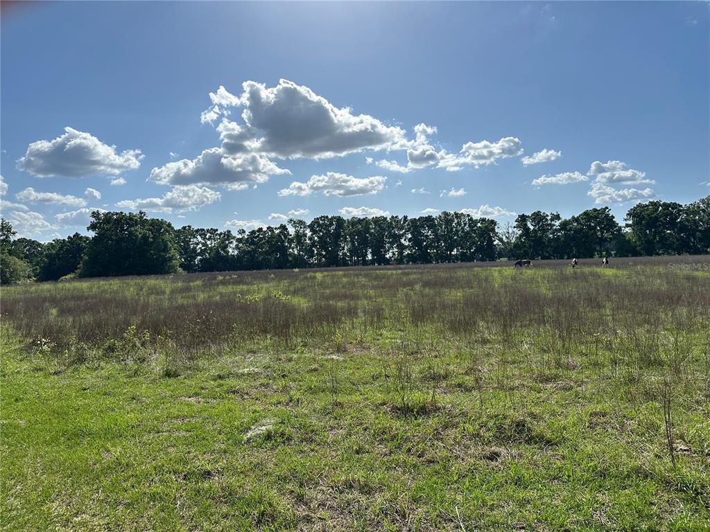 872 Southwest Fry Avenue, Unit C Fort White, FL 32038 - Photo 9 of 14 a view of lake with mountain