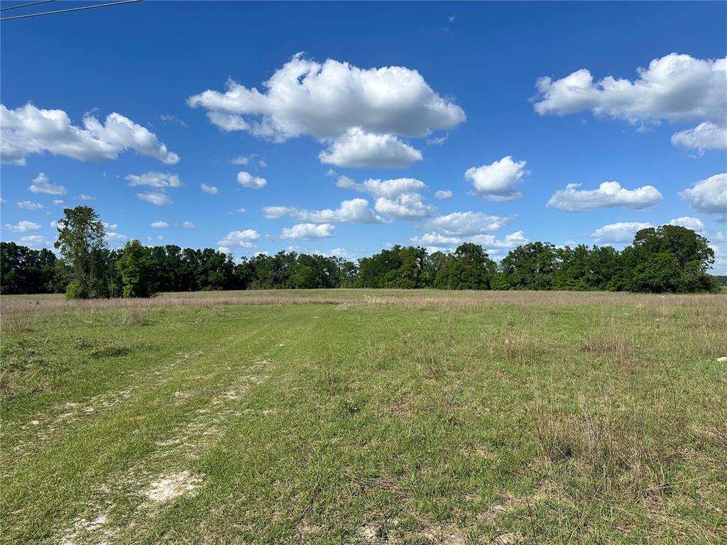 872 Southwest Fry Avenue, Unit C Fort White, FL 32038 - Photo 10 of 14 a view of a lake
