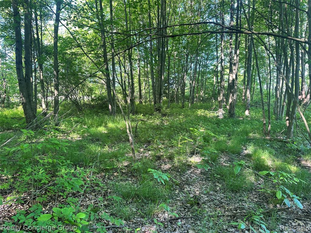 2681 Fisk Road Howell, MI 48843 - Photo 15 of 19